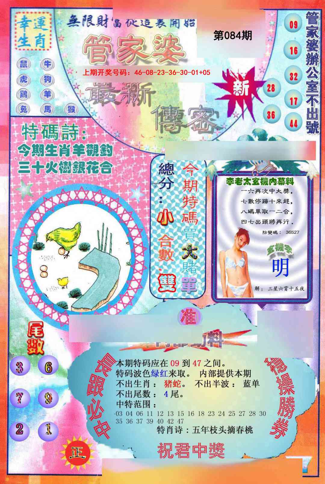 084期管家婆新传密[图]