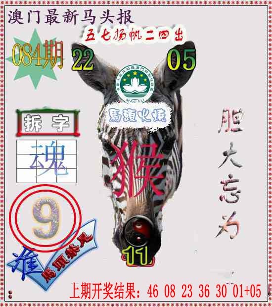 084期马头报[图]