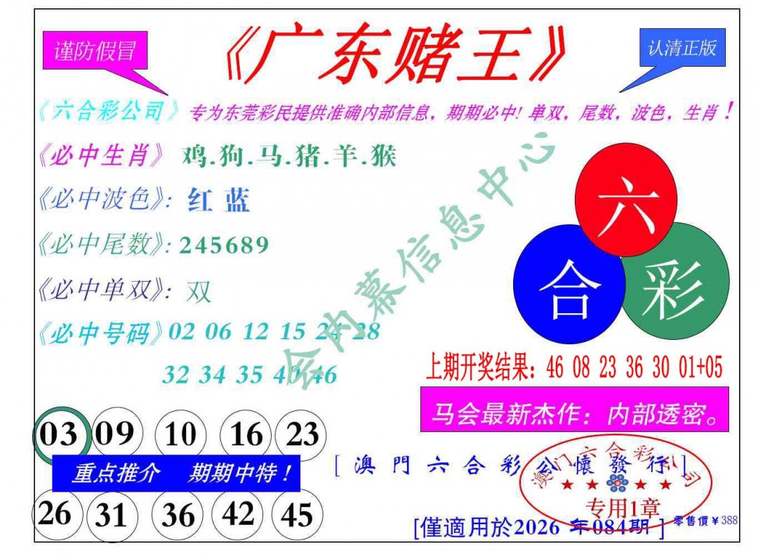 084期广东赌王[图]